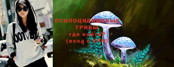СК Александровское