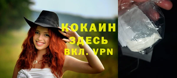 дживик Зерноград