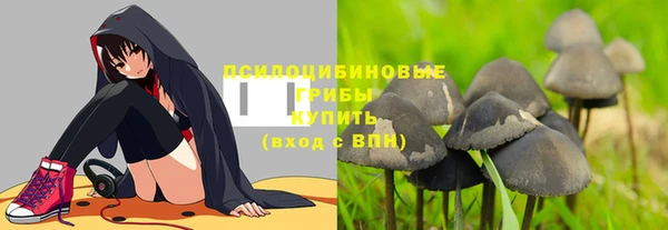 дживик Зерноград