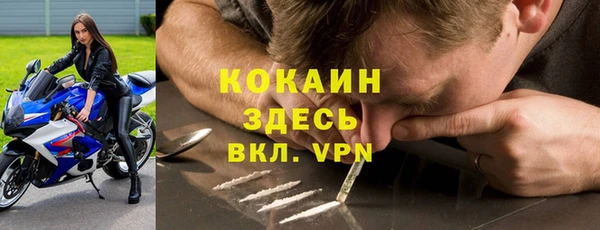прущие крисы Зеленодольск