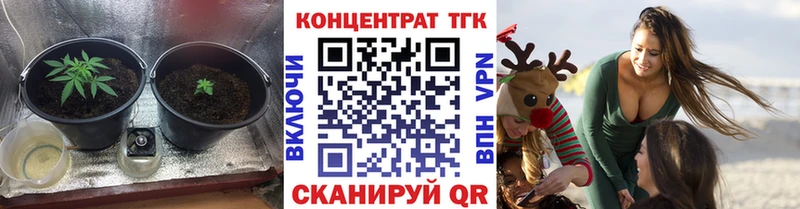 что такое   hydra как войти  ТГК Wax  Железногорск-Илимский 